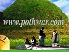 Pothwar.com